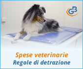 Spese veterinarie 2019: regole di detrazione